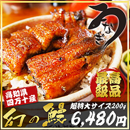 四万十うなぎの蒲焼200g 【10セット】
