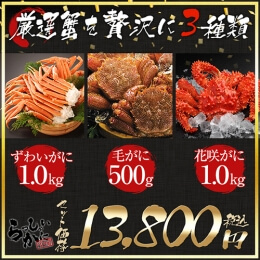 厳選かに3セット ズワイガニ脚肩肉付 1kg 毛ガニ 約500g 花咲ガニ姿　約1kg