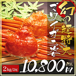 業務用　幻の超特大1kgズワイガニ姿×2 【10セット】