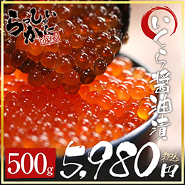 いくら醤油漬500g