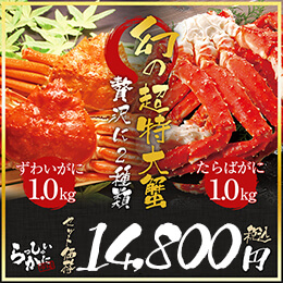 幻の超特大セット 幻の5Lタラバガニ1kg超 幻の1kgズワイガニ姿