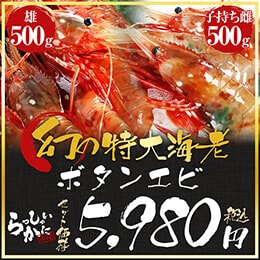 幻のボタンエビ(オス)×幻のボタンエビ(メス)