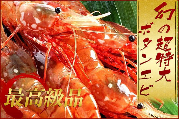 幻のボタンエビ