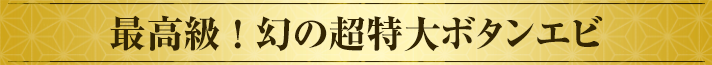 最高級 ！ 幻の超特大ボタンエビ