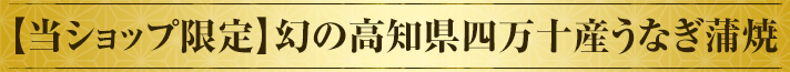 【当ショップ限定】幻の高知県四万十産うなぎ蒲焼